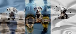 Dalmatin -3PANEL–materiálové varianty!!         | BELA, Funkční úplet MILKY, GARZATO 200gsm- funkční úplet počesaný, Termo lycra počesaná, Softshell zimní 320 gsm, Softshell LETNÍ NEPRUŽNÝ, Kočárkovina, X-BAVLNĚNÝ SATÉN, X-BAVLNĚNÝ ÚPLET, X-BAVLNĚNÁ TEPLÁKOVINA, DOLOMITY--úplet /teplákovina počesaný