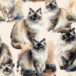 SAM1390 (KOČKA Mainská mývalí  Ragdoll- materiálové varianty)
