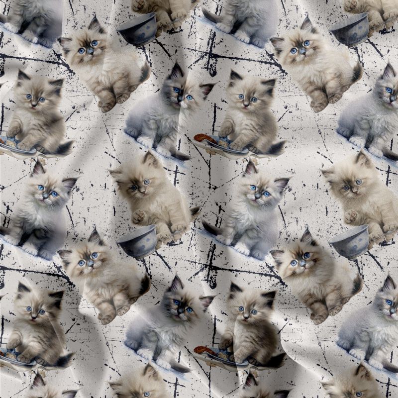 Koťátka Ragdoll- materiálové varianty mavaga design