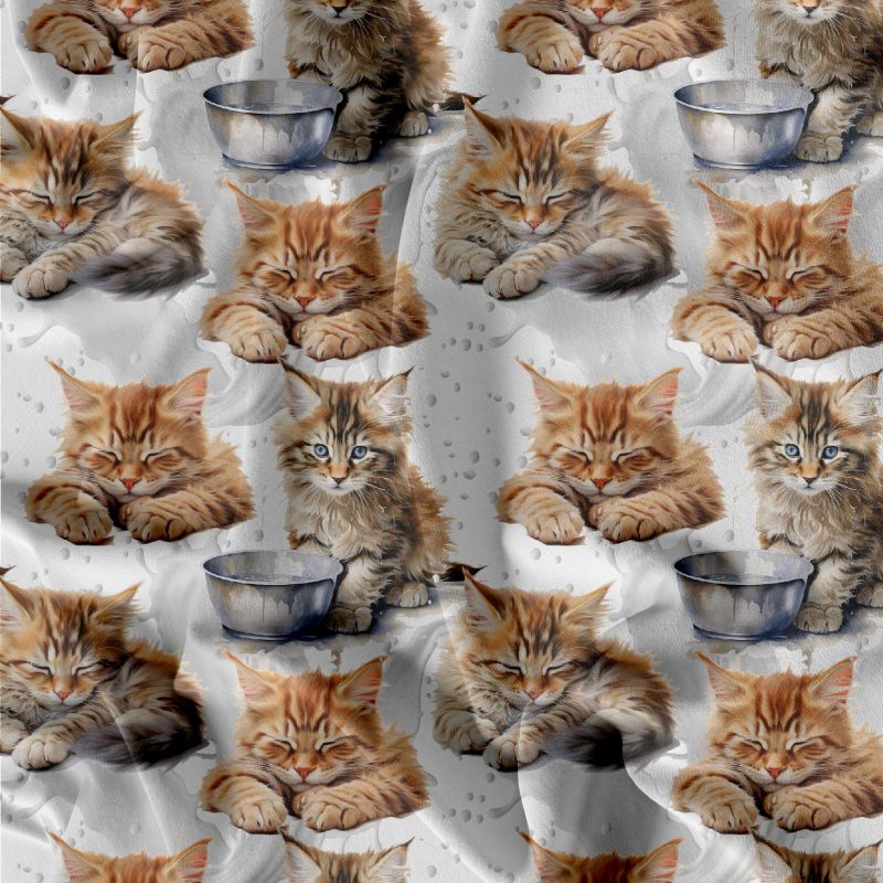 Koťátka Mainská mývalí Ragdoll- materiálové varianty mavaga design