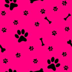 SAM1411F (Tlapky a kostičky na MAGENTA- materiálové varianty)
