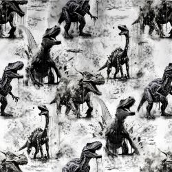 Černobílý dinosaurus- materiálové varianty | Bela- polyesterový úplet, Torino -úplet funkční, MILKY -úplet funkční, FERRA -úplet, Lycra, PUSH UP LYCRA/ plavkovina, Garzato- počesaný funkční úplet, Termo lycra počesaná, DOLOMITY -počesaný 250 gsm, Softshell zimní 320 gsm, Softshell LETNÍ NEPRUŽNÝ, Softshell ZIMNÍ PRUŽNÝ 220 gsm, Softshell letní pružný 220gsm, Softshell jarní 285 gsm, Softshell BERÁNEK, Kočárkovina, Micropeach -tkanina 100 % pes, Silver pružné plátno, X-BAVLNĚNÝ SATÉN, BAVLNĚNÝ úplet LORA 180, Bavlněná teplákovina LORA 250 gsm, BAVLNĚNÝ úplet MIRA 230, Mušelín, SILKY, Venezie úplet, Satén úpletový Valentino  PES+el., Microplyš pružný