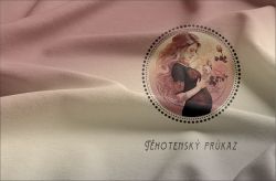 Panel na těhotenský průkaz Žena s růžemi 1ks