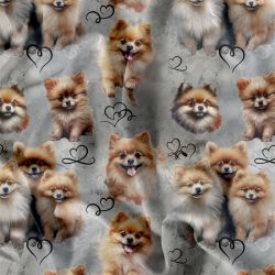 Pomeranian teplákovina, Pomeranian kočárkovina, Pomeranian softchel mavaga design