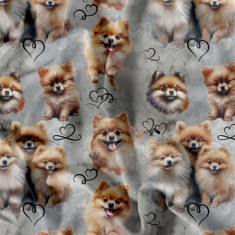 Pomeranian teplákovina, Pomeranian kočárkovina, Pomeranian softchel mavaga design