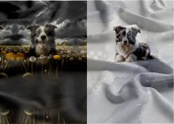 Border kolie 2 – materiálové varianty | BELLA - 210 gsm, TORINO 140 gsm -funkční úplet, Funkční úplet MILKY, GARZATO 200gsm- funkční úplet počesaný, DOLOMOTY 250, Softshell zimní 320 gsm, Kočárkovina, X-BAVLNĚNÝ SATÉN, X-BAVLNĚNÝ ÚPLET, X-BAVLNĚNÁ TEPLÁKOVINA