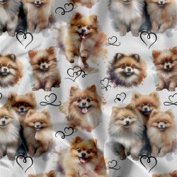 Pomeranian teplákovina, Pomeranian kočárkovina, Pomeranian softchel mavaga design