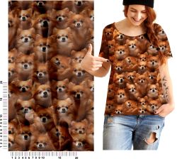 Pomeranian teplákovina, Pomeranian kočárkovina, Pomeranian softchel mavaga design
