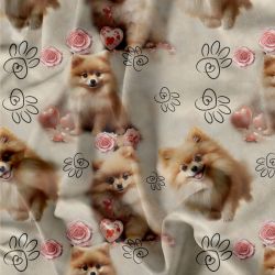 Pomeranian teplákovina, Pomeranian kočárkovina, Pomeranian softchel mavaga design Pomeranian teplákovina, Pomeranian kočárkovina, Pomeranian softchel mavaga design
