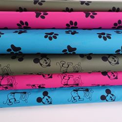 softshell Mickey Mouse