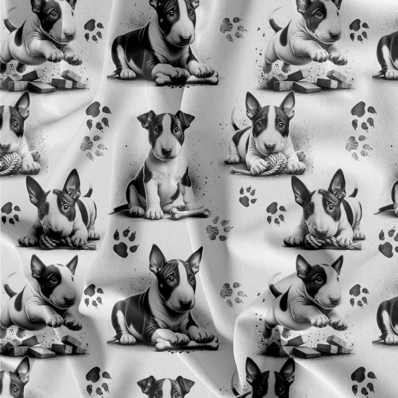 Anglický bullterrier teplákovina, Anglický bullterrier kočárkovina, Anglický bullterrier softshell mavaga design