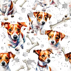 SAM1796 (JACK russel pes -materiálové varianty  )