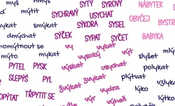 SAM1788B (Vyjmenovaná slova růžová - materiálové varianty)