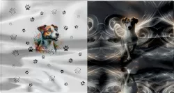 panel na triko JACK russel | BELLA - 210 gsm, TORINO 140 gsm -funkční úplet, Funkční úplet MILKY, GARZATO 200gsm- funkční úplet počesaný, DOLOMOTY 250, Softshell zimní 320 gsm, Kočárkovina, X-BAVLNĚNÝ SATÉN, X-BAVLNĚNÝ ÚPLET, X-BAVLNĚNÁ TEPLÁKOVINA