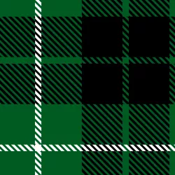 SAM1893A (Tartan zelený - materiálové varianty)