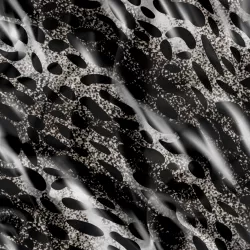 úplet leopard | Bela- polyesterový úplet, Torino -úplet funkční, MILKY -úplet funkční, FERRA -úplet, Lycra, PUSH UP LYCRA/ plavkovina, Garzato- počesaný funkční úplet, Termo lycra počesaná, DOLOMITY -počesaný 250 gsm, Softshell zimní 320 gsm, Softshell LETNÍ NEPRUŽNÝ, Softshell ZIMNÍ PRUŽNÝ 220 gsm, Softshell letní pružný 220gsm, Softshell jarní 285 gsm, Softshell BERÁNEK, Kočárkovina, Micropeach -tkanina 100 % pes, Silver pružné plátno, X-BAVLNĚNÝ SATÉN, BAVLNĚNÝ úplet LORA 180, Bavlněná teplákovina LORA 250 gsm, BAVLNĚNÝ úplet MIRA 230, SILKY, Venezie úplet, Satén úpletový Valentino PES+el., Microplyš pružný úplet leopard | Bela- polyesterový úplet, Torino -úplet funkční, MILKY -úplet funkční, FERRA -úplet, Lycra, PUSH UP LYCRA/ plavkovina, Garzato- počesaný funkční úplet, Termo lycra počesaná, DOLOMITY -počesaný 250 gsm, Softshell zimní 320 gsm, Softshell LETNÍ NEPRUŽNÝ, Softshell ZIMNÍ PRUŽNÝ 220 gsm, Softshell letní pružný 220gsm, Softshell jarní 285 gsm, Softshell BERÁNEK, Kočárkovina, Micropeach -tkanina 100 % pes, Silver pružné plátno, X-BAVLNĚNÝ SATÉN, BAVLNĚNÝ úplet LORA 180, Bavlněná teplákovina LORA 250 gsm, BAVLNĚNÝ úplet MIRA 230, SILKY, Venezie úplet, Satén úpletový Valentino PES+el., Microplyš pružný