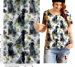 kočárkovina Německý ohař drátosrstý mavaga design