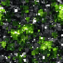 SAM2227 (Malé zelené kostičky -materiálové varianty)