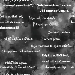 SAM2280B (Školní hlášky UČITELÉ na ŠEDÉ - materiálové varianty)