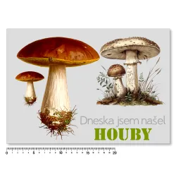 Levné nažehlovací obrázky pro houbaře - Hřib